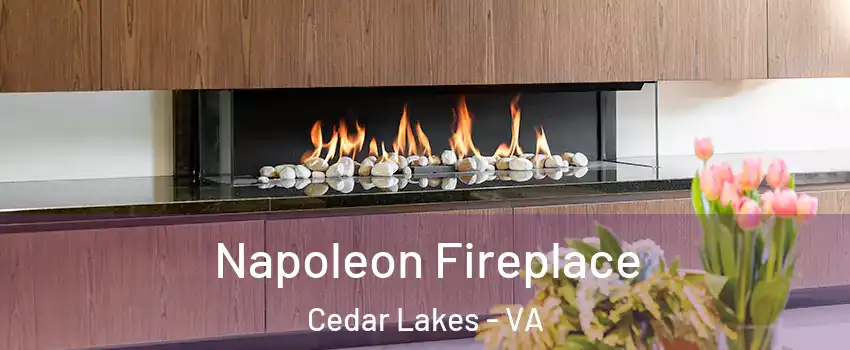Napoleon Fireplace Cedar Lakes - VA