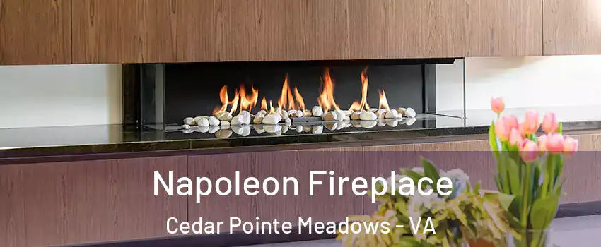 Napoleon Fireplace Cedar Pointe Meadows - VA