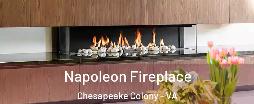 Napoleon Fireplace Chesapeake Colony - VA