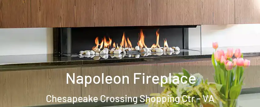 Napoleon Fireplace Chesapeake Crossing Shopping Ctr - VA