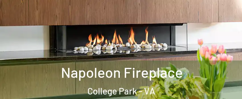Napoleon Fireplace College Park - VA