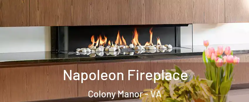 Napoleon Fireplace Colony Manor - VA