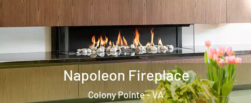 Napoleon Fireplace Colony Pointe - VA