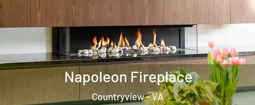 Napoleon Fireplace Countryview - VA