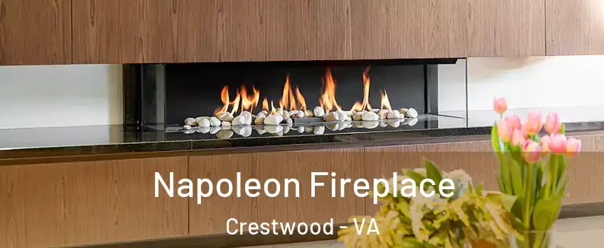 Napoleon Fireplace Crestwood - VA