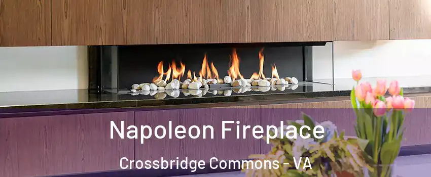 Napoleon Fireplace Crossbridge Commons - VA