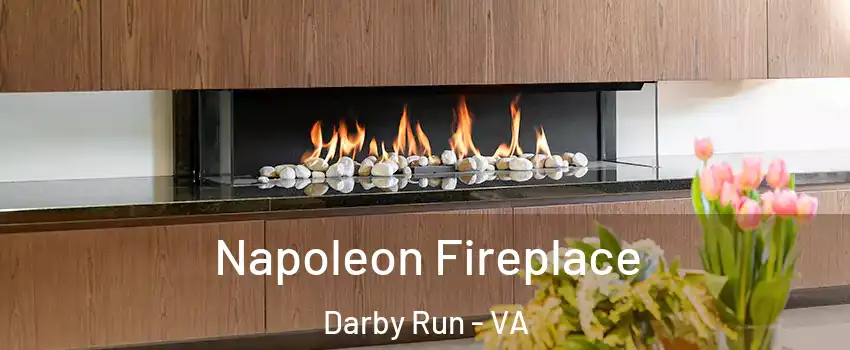 Napoleon Fireplace Darby Run - VA