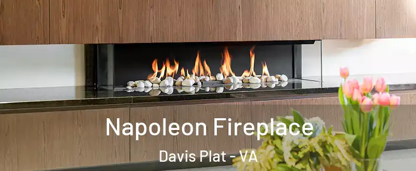 Napoleon Fireplace Davis Plat - VA