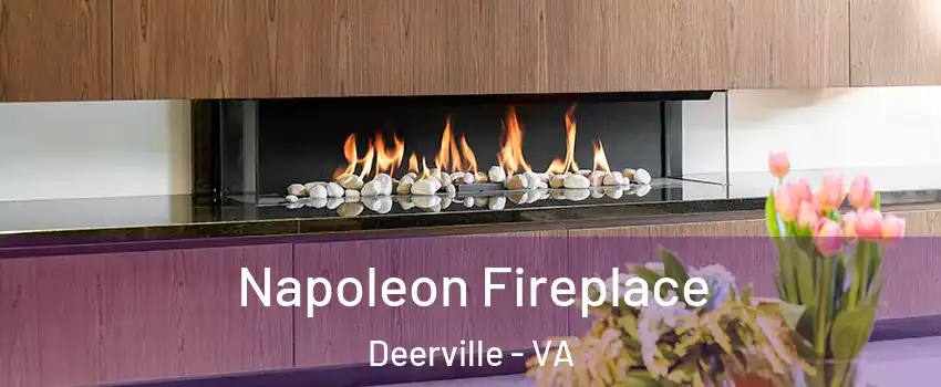 Napoleon Fireplace Deerville - VA