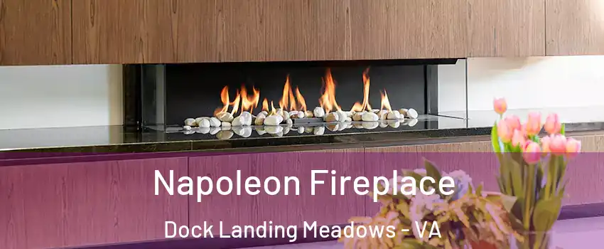 Napoleon Fireplace Dock Landing Meadows - VA