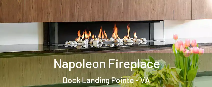 Napoleon Fireplace Dock Landing Pointe - VA