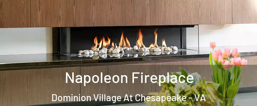 Napoleon Fireplace Dominion Village At Chesapeake - VA