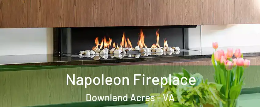 Napoleon Fireplace Downland Acres - VA