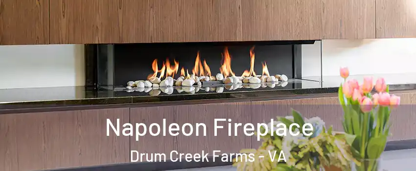 Napoleon Fireplace Drum Creek Farms - VA