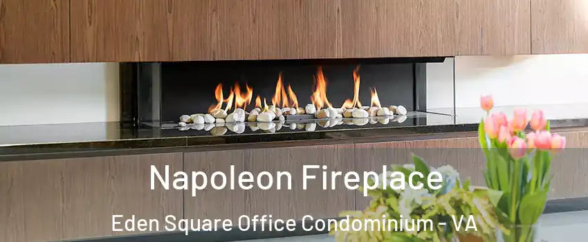 Napoleon Fireplace Eden Square Office Condominium - VA