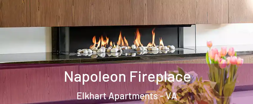 Napoleon Fireplace Elkhart Apartments - VA