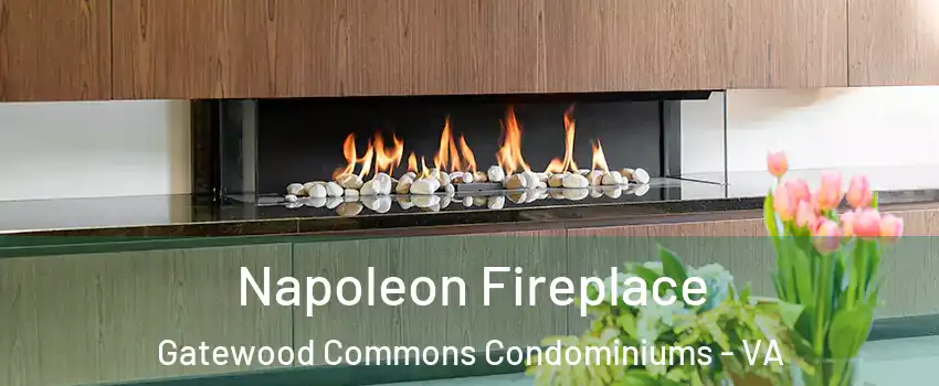 Napoleon Fireplace Gatewood Commons Condominiums - VA