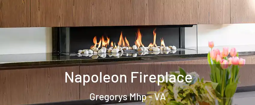 Napoleon Fireplace Gregorys Mhp - VA