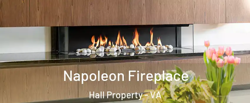 Napoleon Fireplace Hall Property - VA