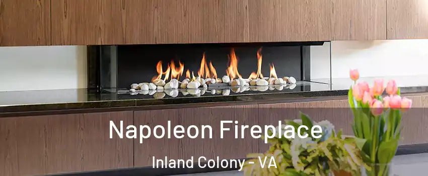 Napoleon Fireplace Inland Colony - VA