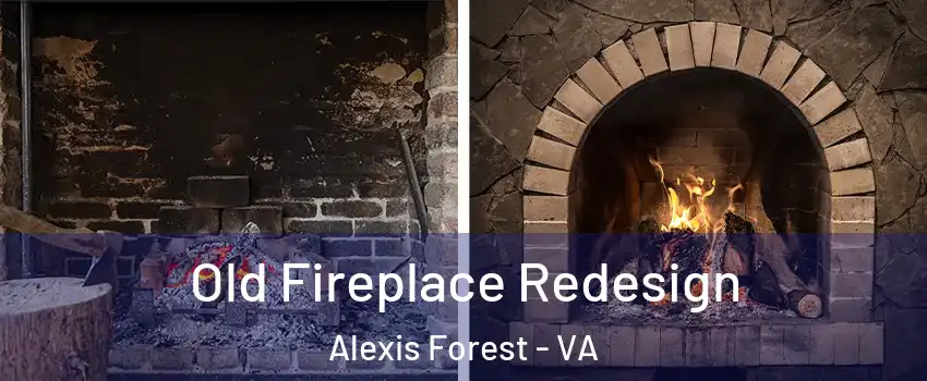 Old Fireplace Redesign Alexis Forest - VA