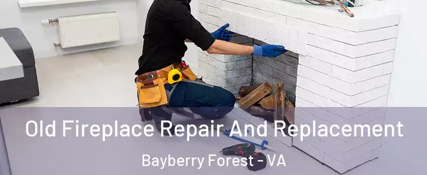 Old Fireplace Repair And Replacement Bayberry Forest - VA