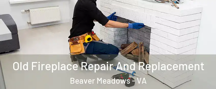 Old Fireplace Repair And Replacement Beaver Meadows - VA