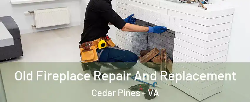Old Fireplace Repair And Replacement Cedar Pines - VA