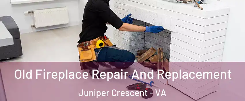 Old Fireplace Repair And Replacement Juniper Crescent - VA
