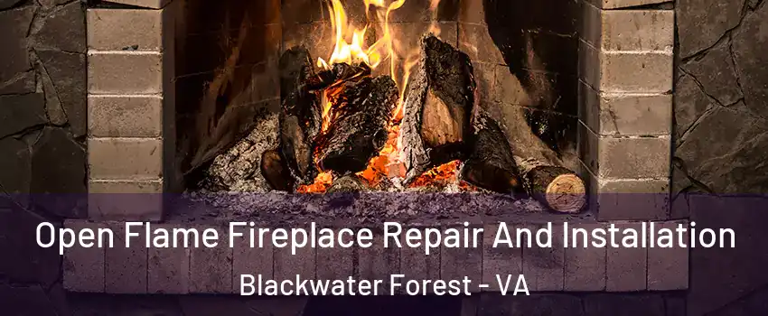 Open Flame Fireplace Repair And Installation Blackwater Forest - VA