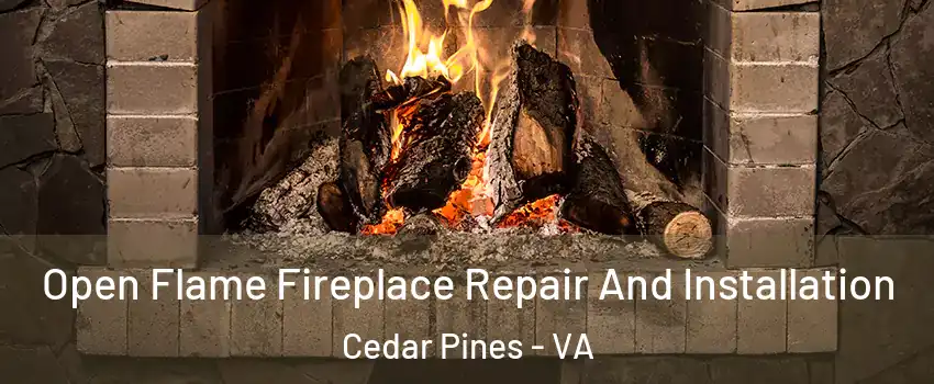 Open Flame Fireplace Repair And Installation Cedar Pines - VA