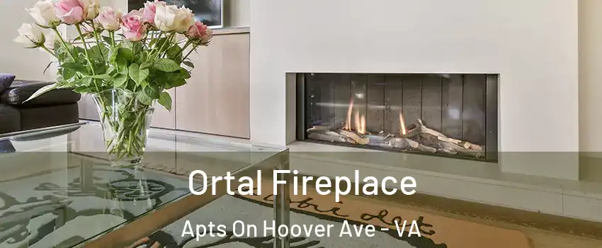 Ortal Fireplace Apts On Hoover Ave - VA