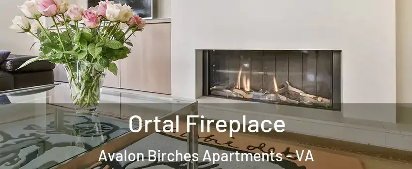 Ortal Fireplace Avalon Birches Apartments - VA
