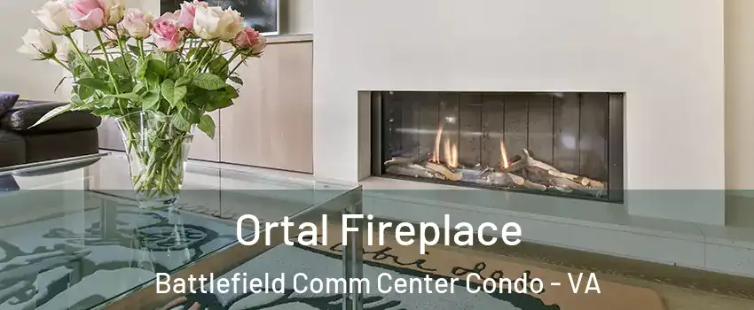 Ortal Fireplace Battlefield Comm Center Condo - VA
