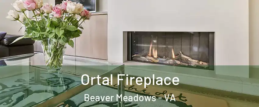 Ortal Fireplace Beaver Meadows - VA