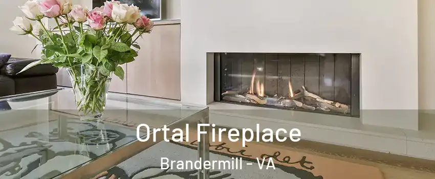 Ortal Fireplace Brandermill - VA