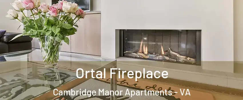 Ortal Fireplace Cambridge Manor Apartments - VA