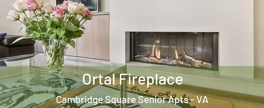 Ortal Fireplace Cambridge Square Senior Apts - VA