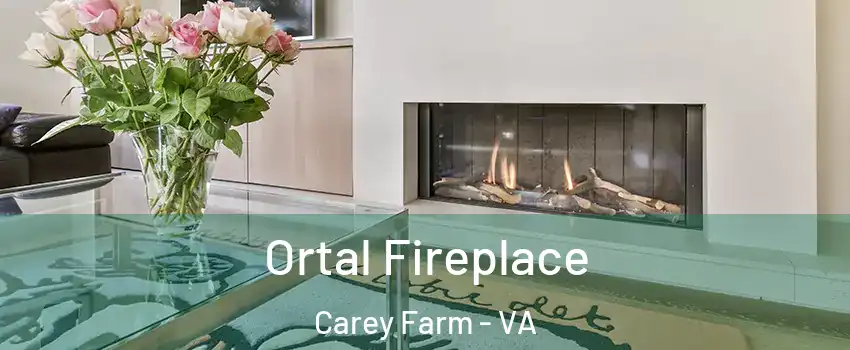 Ortal Fireplace Carey Farm - VA