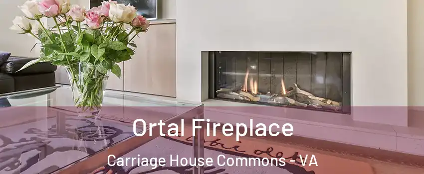 Ortal Fireplace Carriage House Commons - VA