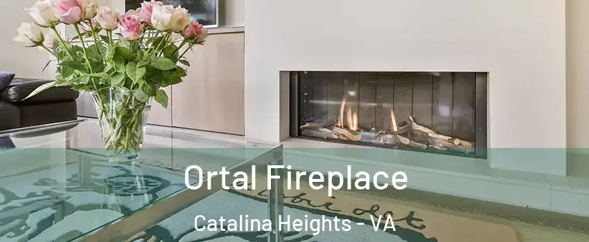 Ortal Fireplace Catalina Heights - VA