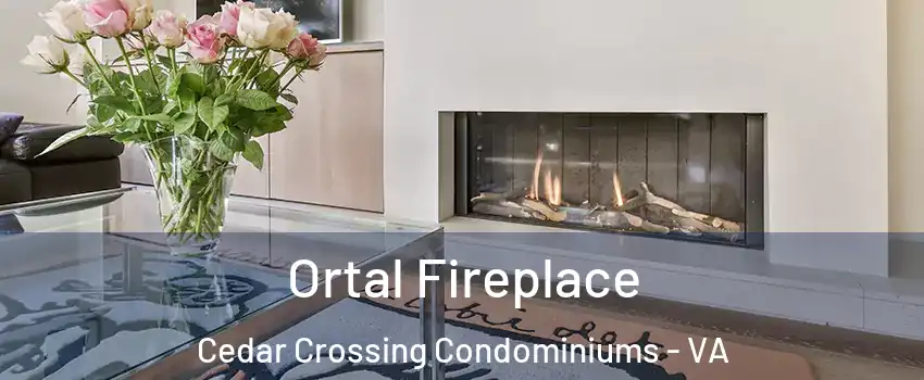 Ortal Fireplace Cedar Crossing Condominiums - VA