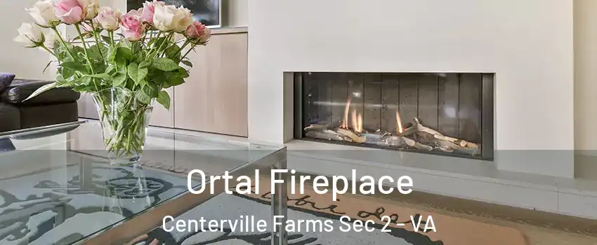 Ortal Fireplace Centerville Farms Sec 2 - VA