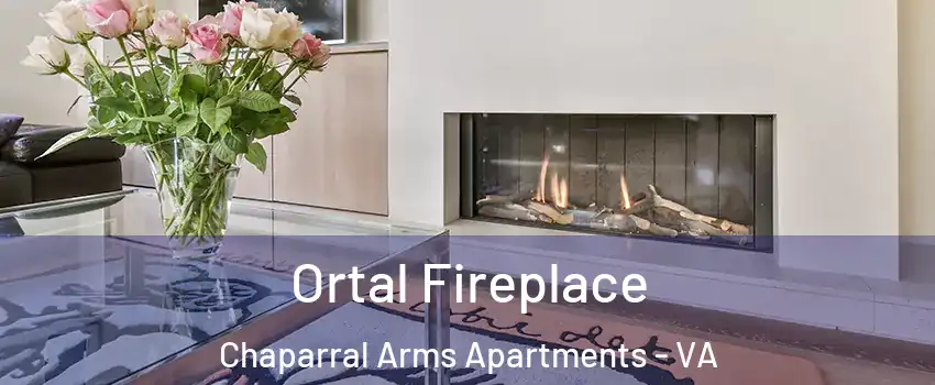 Ortal Fireplace Chaparral Arms Apartments - VA