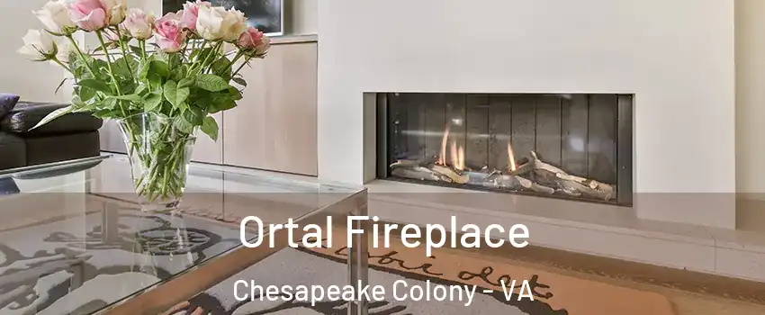 Ortal Fireplace Chesapeake Colony - VA