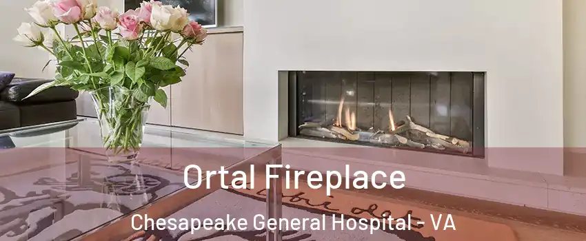 Ortal Fireplace Chesapeake General Hospital - VA