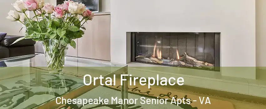 Ortal Fireplace Chesapeake Manor Senior Apts - VA