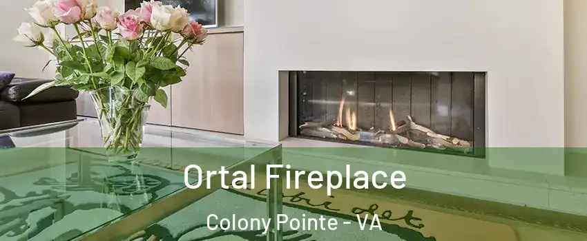 Ortal Fireplace Colony Pointe - VA