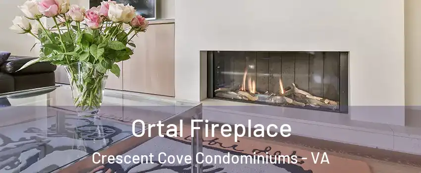 Ortal Fireplace Crescent Cove Condominiums - VA
