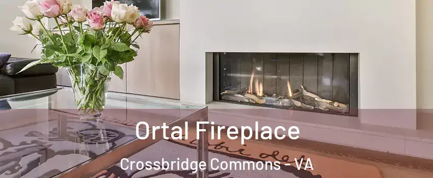 Ortal Fireplace Crossbridge Commons - VA